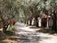 Immagine 13