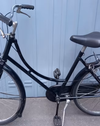 Bicicletta da Donna/Ragazza 