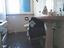 Immagine 15