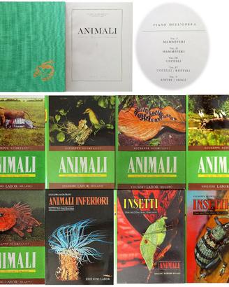G. Scortecci: Animali - 8 volumi