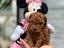 Immagine 3