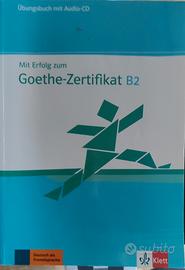 Libro Mit Erfolg zum Goethe Zertifikat b2