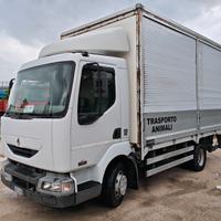 Renault Midlum Furgonato con sponda battente idrau