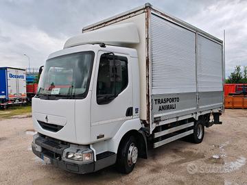 Renault Midlum Furgonato con sponda battente idrau