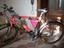 Immagine 6