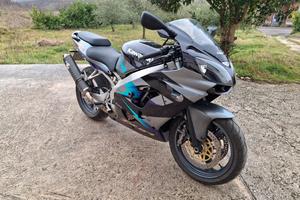 Kawasaki ninja zx9r 900cc anno 2001 ASI