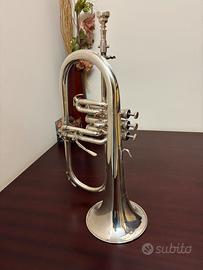 Flicorno Soprano Wisseman 600