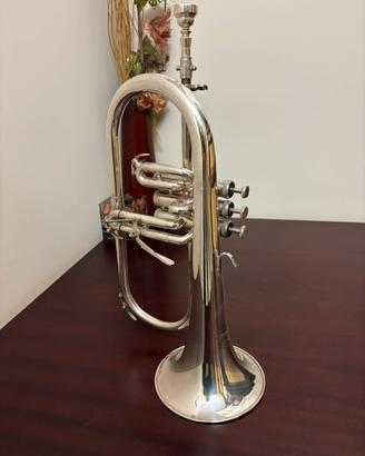 Flicorno Soprano Wisseman 600
