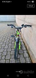 bicicletta stark bambino 5 anni