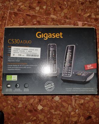 Telefoni Gigaset da casa,  leggete descrizione!