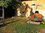 Immagine 12