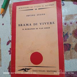 il romanzo di Van Gogh