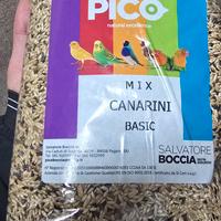 canarini
