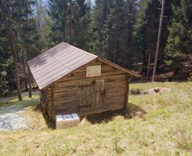 Rustico Fienile Baita Cadore Dolomiti bosco