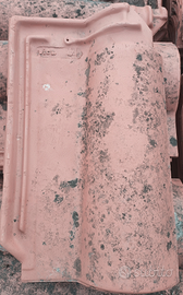 Tegole Portoghesi usate ad 0,30 cadauna