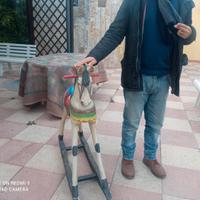 Cavallo a dondolo in legno