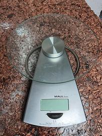 BILANCIA DI PRECISIONE