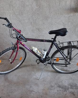 Mountain bike Giant Terrago