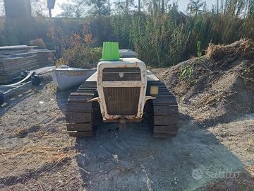 Lamborghini cingolato