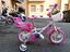 Immagine 3