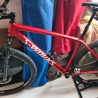 specialized epic ht Sworks 2021 L