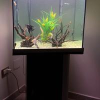 Acquario con mobiletto e accessori