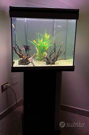 Acquario con mobiletto e accessori