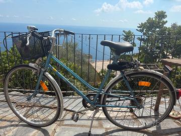 Bici Vintage da Donna Phoenix