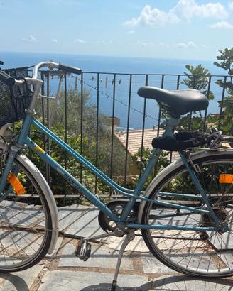 Bici Vintage da Donna Phoenix