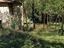 Immagine 21
