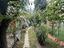 Immagine 27