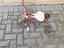 Immagine 1