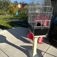 Gabbie per pappagalli