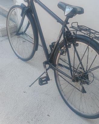 Bicicletta da uomo  Frejus Bymasc