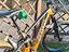 Immagine 6
