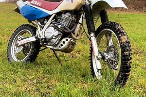 HONDA XR600R