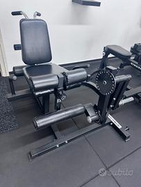 LEG EXTENSION / CURL KINGSGYM
