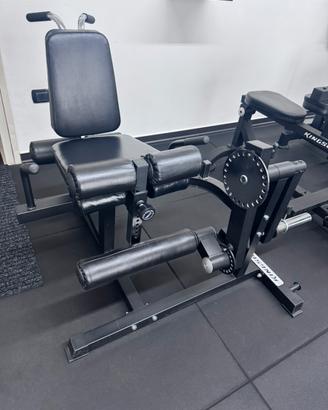 LEG EXTENSION / CURL KINGSGYM