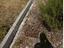 Immagine 11