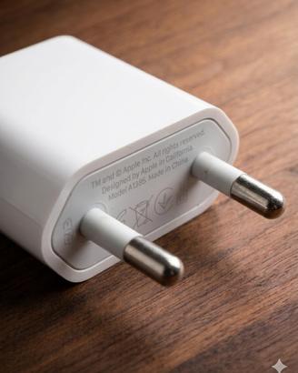 Alimentatore USB Originale Apple + cavo anker