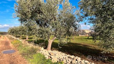 Terreno agricolo con casale