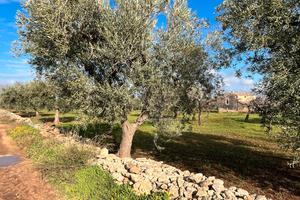 Terreno agricolo con casale