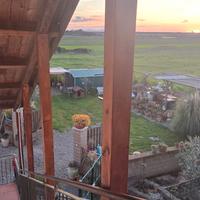 Appartamento con giardino in maremma