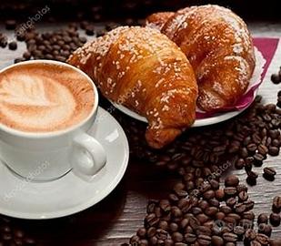 Rif b1384 Bar gelateria Bologna