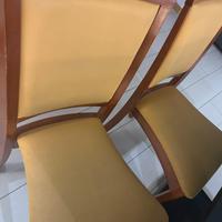 Sedie legno  con imbottitira