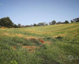 Terreno agricolo 3,5 ha con pozzo