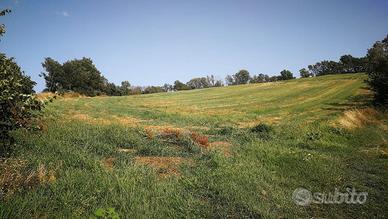 Terreno agricolo 3,5 ha con pozzo