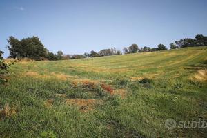 Terreno agricolo 3,5 ha con pozzo