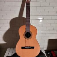 Chitarra Privada mod.P1