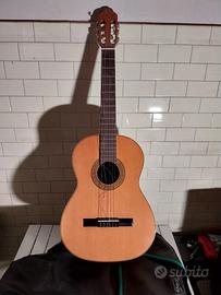 Chitarra Privada mod.P1